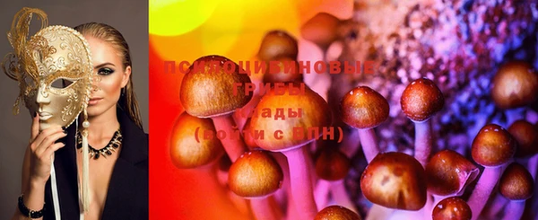 герыч Верхний Тагил