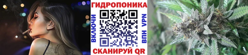 купить наркотик  Кизляр  blacksprut ссылки  Бошки марихуана AK-47 